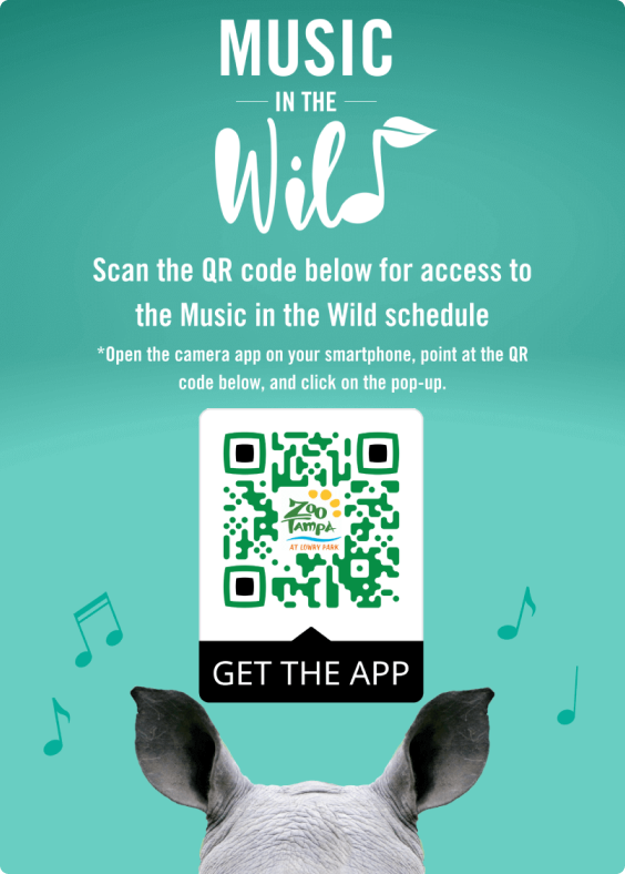 Exemplo de um anúncio com um QR Code divulgando o aplicativo do ZooTampa.