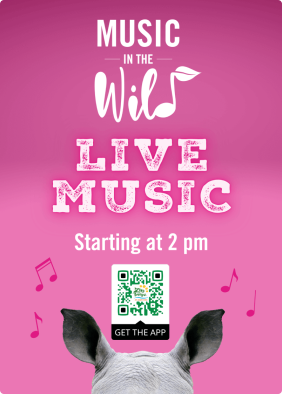 Exemplo de um anúncio com um QR Code para baixar o aplicativo do ZooTampa.