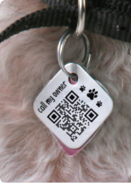 Formas criativas de usar QR Codes para uso pessoal